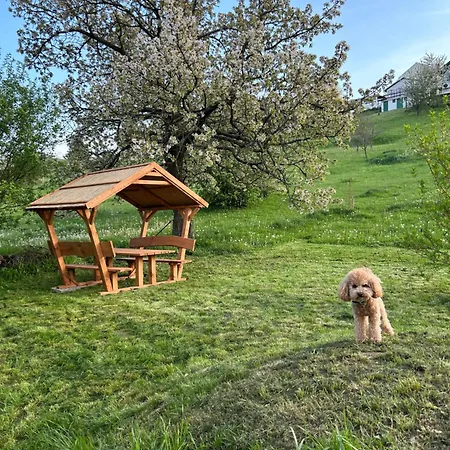 Haus - Kishaz A Voelgyben * Tarján