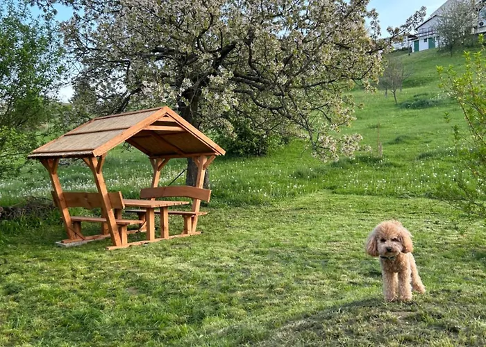 Haus - Kishaz A Voelgyben * Tarján