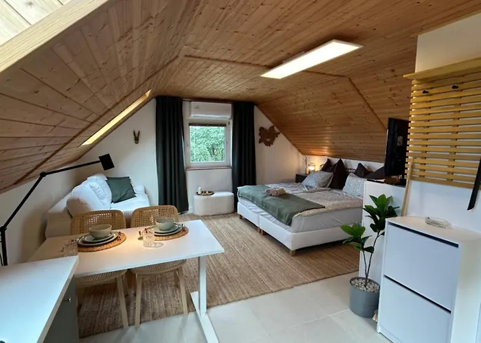 Semesterbostad Haus - Kishaz A Voelgyben *